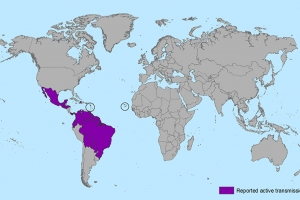 Countries and territories with active Zika virus transmission (from the CDC)