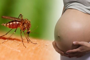 Zika virus infection remains a threat to pregnant woman traveling to endemic areas