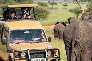Enjoy your worry-free safari after receiving vaccines for Kenya and Tanzania from a travel clinic first.